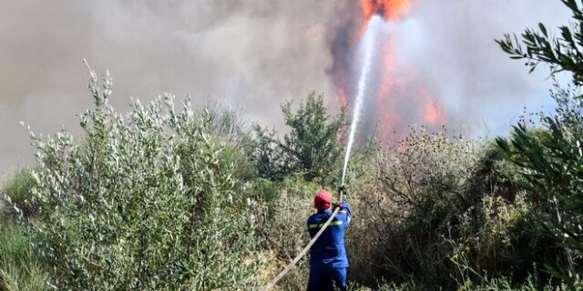 Φωτιά σε χαμηλή βλάστηση στην Ύδρα