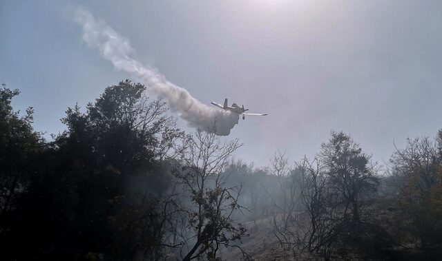 Ροδόπη: Φωτιά σε δασική έκταση στην περιοχή Μίσχος