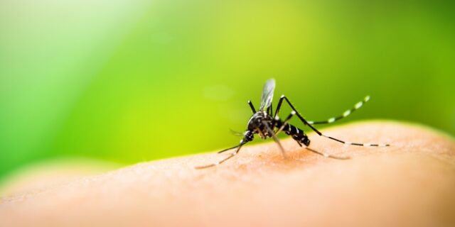 Ιός Δυτικού Νείλου: Στα 284 τα κρούσματα στην Ελλάδα