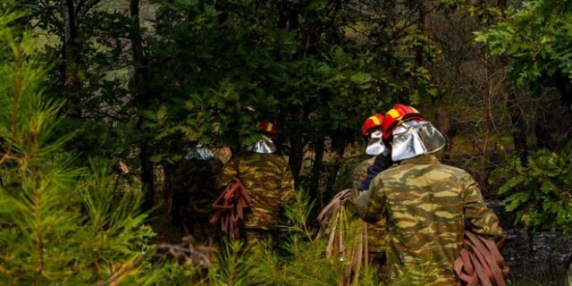 Δάσος Δαδιάς: “Άμεση ανάγκη για αντιπλημμυρικά έργα και ενίσχυση του δασαρχείου” λέει ο δήμαρχος