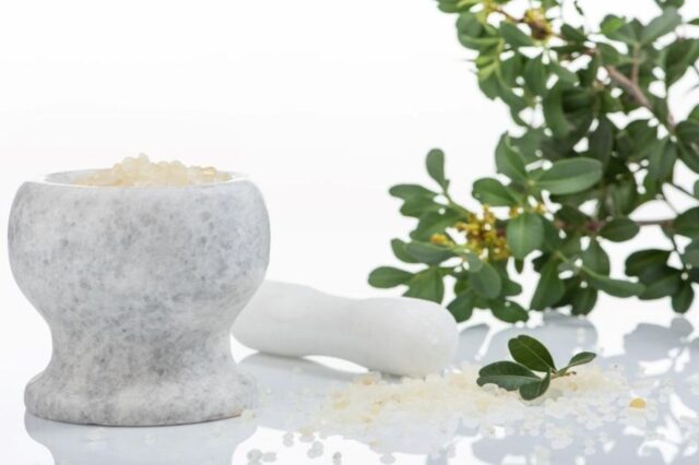 Μαστίχα Χίου: Το απόλυτο ελληνικό Superfood