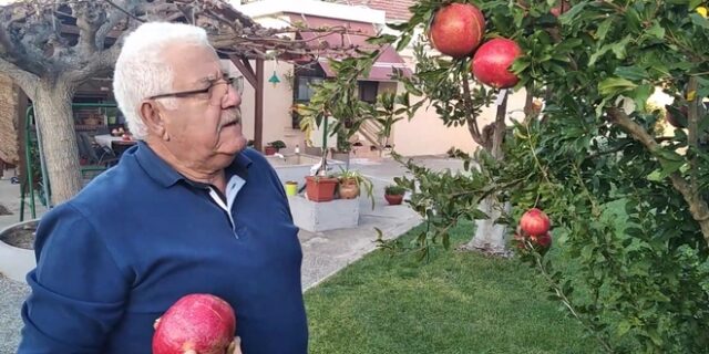 Λάρισα: Ρόδι 2,5 κιλά – Το “θαυματουργό” δέντρο στον κήπο ενός συνταξιούχου