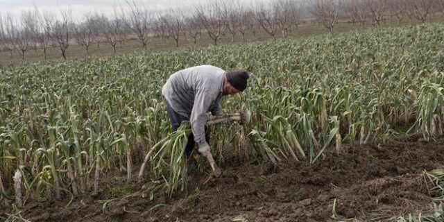 Κλιματική κρίση-Ελλείψεις εργατών γης: Δοκιμάζουν την επάρκεια τροφίμων