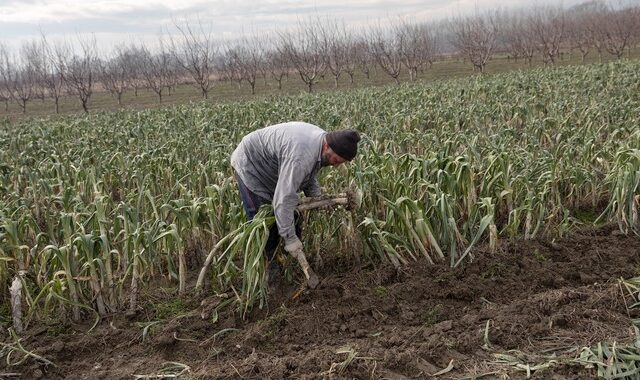 Κλιματική κρίση-Ελλείψεις εργατών γης: Δοκιμάζουν την επάρκεια τροφίμων