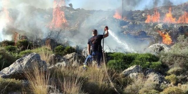 Κρήτη: Φωτιά στο δάσος της Κέρης – Μεγάλη επιχείρηση της Πυροσβεστικής