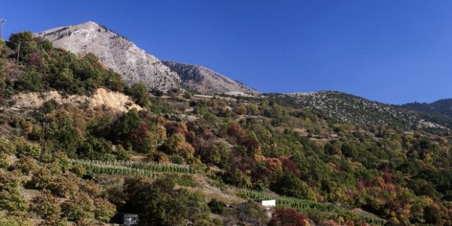 Μάνδρα: Ελεύθερος ο 14χρονος που πυροβόλησε και σκότωσε τον 17χρονο αδερφό του
