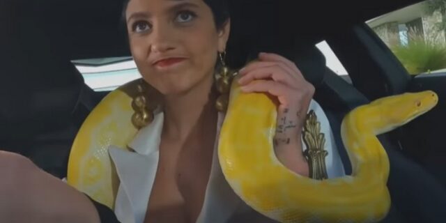 GNTM: Παίκτρια εγκλωβίστηκε σε αμάξι με πύθωνα – Πανικός και χάος στη δοκιμασία