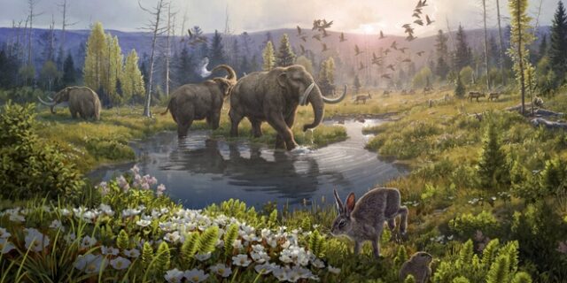 Γροιλανδία: DNA αποκάλυψε την ύπαρξη πάνω από 100 φυτών και ζώων πριν 2 εκατ. χρόνια