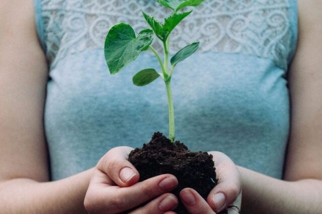 «Η ψηφιακή λύση για… Zero Waste λειτουργία των ελληνικών επιχειρήσεων»