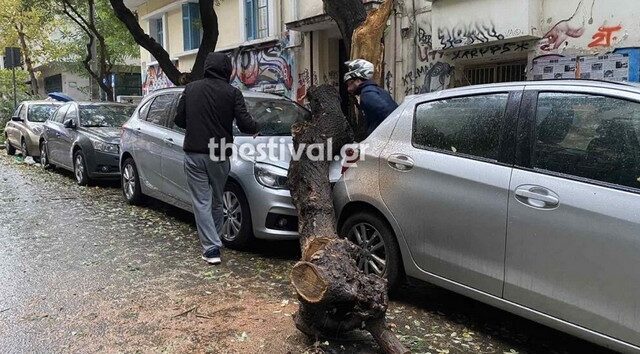 Κακοκαιρία Άριελ: Διακοπές ρεύματος στη Θεσσαλονίκη – Κλειστά τα σχολεία στην Κατερίνη