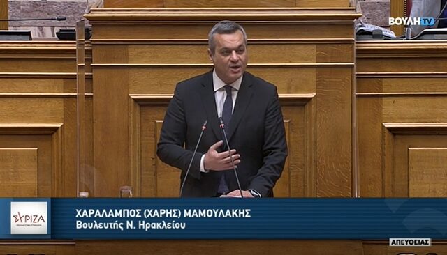 Μαμουλάκης: Μόλις 1 στους 100 νέους καλύπτει τα κριτήρια του νόμου στεγαστικής πολιτικής της ΝΔ