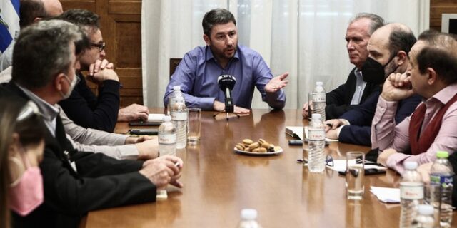 Ανδρουλάκης: Απαράδεκτη η υποβάθμιση των πτυχίων των καλλιτεχνικών σπουδών