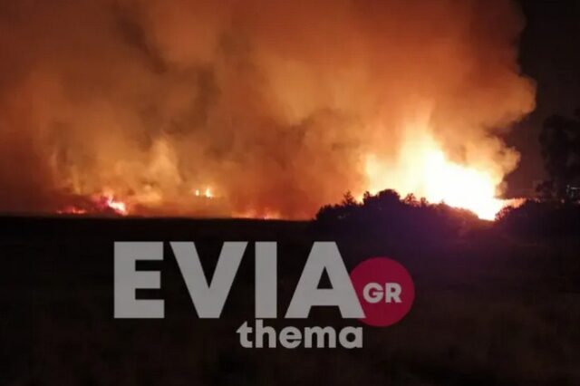 Εύβοια: Φωτιά στα Ψαχνά – Επιχειρούν ισχυρές δυνάμεις της Πυροσβεστικής