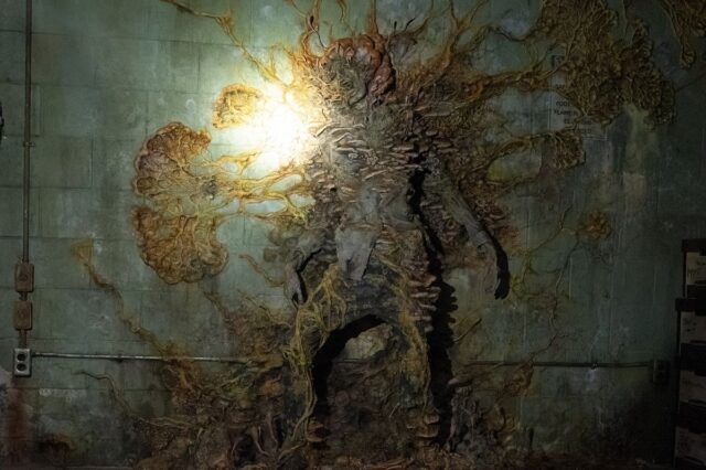Πόσο πιθανό είναι οι μύκητες του The Last Of Us να μας κάνουν αληθινά ζόμπι