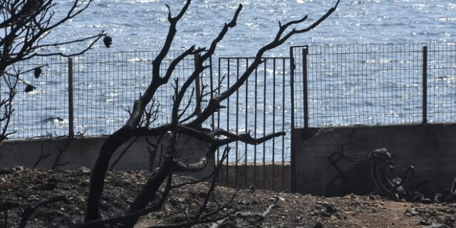 Δίκη για τη φωτιά στο Μάτι:  “Αν ερχόταν δέκα λεπτά νωρίτερα κάτι θα κάναμε… Αργήσατε”