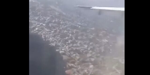 Συντριβή αεροσκάφους στο Νεπάλ: Η μοιραία πτώση σε live μετάδοση – Βίντεο ντοκουμέντο