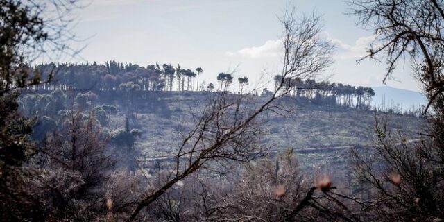 Το Τατόι και το “ραδιενεργό” υπουργείο
