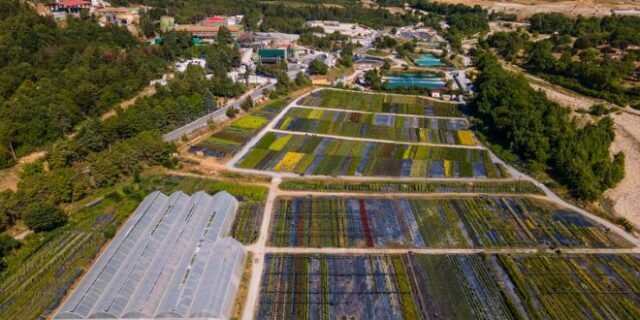 Βιώσιμη ανάπτυξη: Υπεύθυνες επενδύσεις που εστιάζουν στο ESG