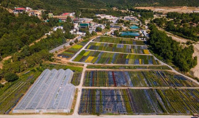 Βιώσιμη ανάπτυξη: Υπεύθυνες επενδύσεις που εστιάζουν στο ESG