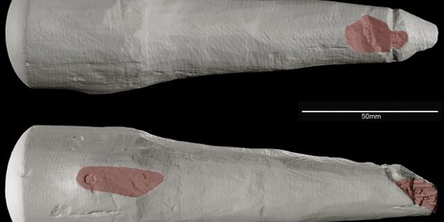 Ανακαλύφθηκε για πρώτη φορά αρχαίο σεξουαλικό βοήθημα