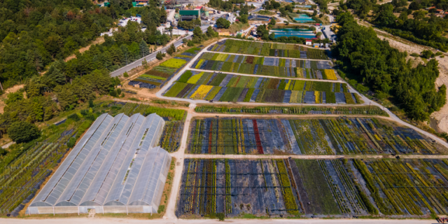 Έμπρακτη δέσμευση της Ελληνικός Χρυσός για περιβαλλοντική αποκατάσταση παράλληλα με τη μεταλλευτική δραστηριότητα