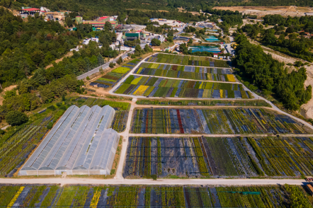 Έμπρακτη δέσμευση της Ελληνικός Χρυσός για περιβαλλοντική αποκατάσταση παράλληλα με τη μεταλλευτική δραστηριότητα