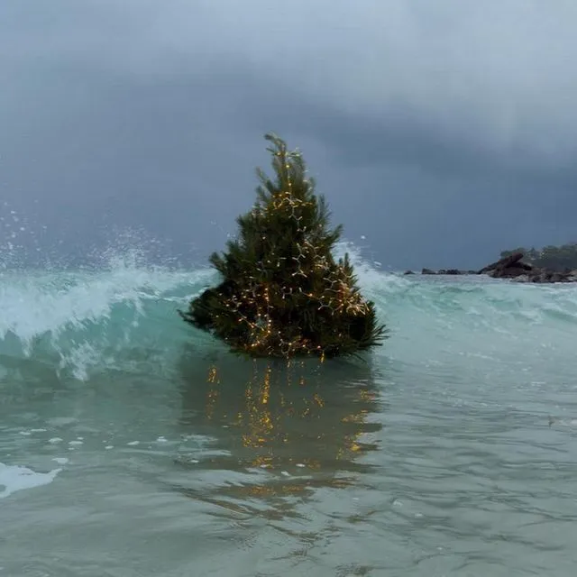 Τι δουλειά έχει ένα χριστουγεννιάτικο δέντρο μέσα στη θάλασσα; Η ιστορία του viral βίντεο