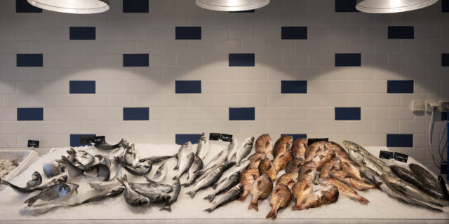 Ψάρια και θαλασσινά στου Ρέντη, από εκεί που ψωνίζουν οι μάγειρες