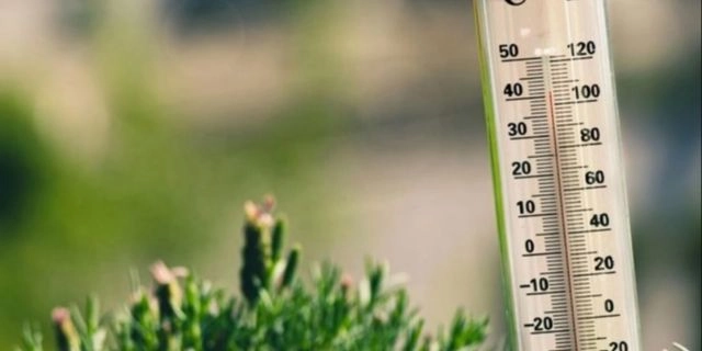 Πώς να επιβιώσεις στον καύσωνα
