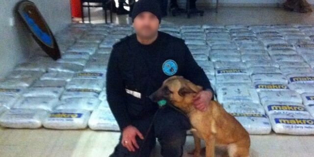 Έφυγε από τη ζωή η Λέσυ, το σκυλί “θρύλος” του λιμεναρχείου Ηγουμενίτσας