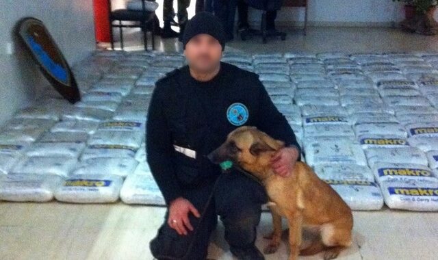 Έφυγε από τη ζωή η Λέσυ, το σκυλί “θρύλος” του λιμεναρχείου Ηγουμενίτσας