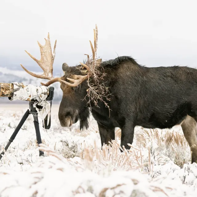 17 εντυπωσιακές φωτογραφίες από την άγρια φύση που απέσπασαν βραβείο