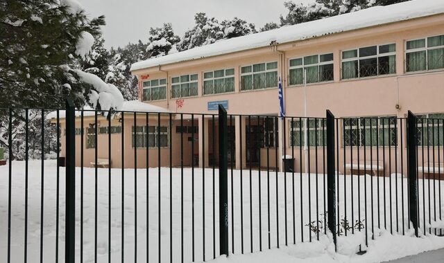 Σχολεία: Σε ποιες περιοχές θα παραμείνουν κλειστά την Τετάρτη λόγω κακοκαιρίας