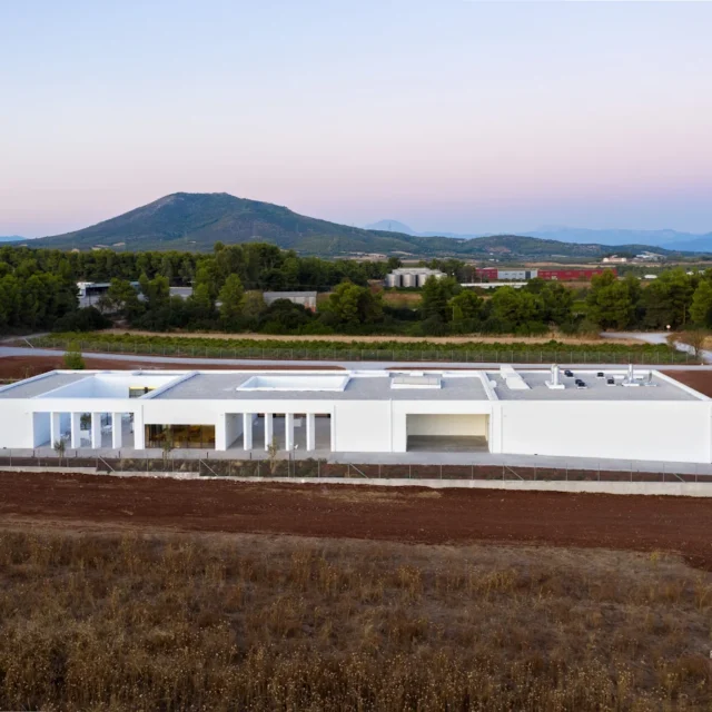 “Ποτέ δεν φαντάστηκα ότι θα ιδρύσω το πρώτο αποτεφρωτήριο στην Ελλάδα”