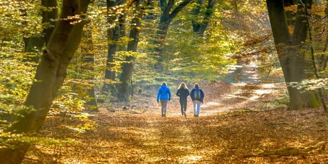 Για την πλήρη εμπειρία ζωής, άφησε όλες τις συσκευές και περπάτησε