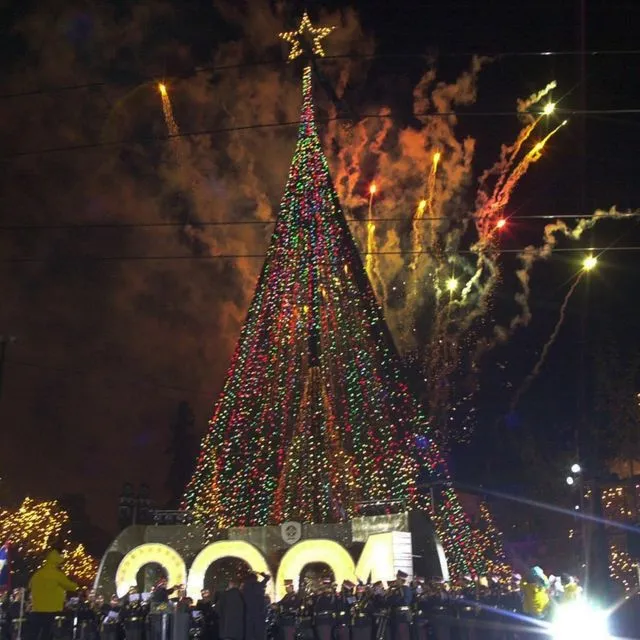 Όταν το δέντρο της Αθήνας μπήκε στο βιβλίο Γκίνες