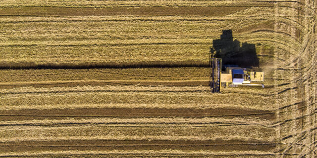 Απάτες “καρουζέλ” και αγροτικές επιδοτήσεις: Τι ψάχνει ο Ευρωπαίος Εισαγγελέας στην Ελλάδα