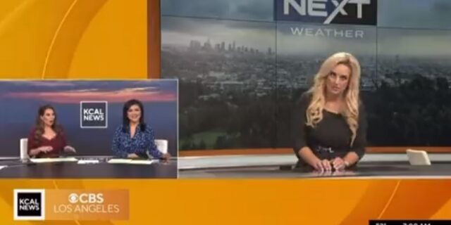 ΗΠΑ: Μετεωρολόγος έχασε τις αισθήσεις της on air – Βίντεο