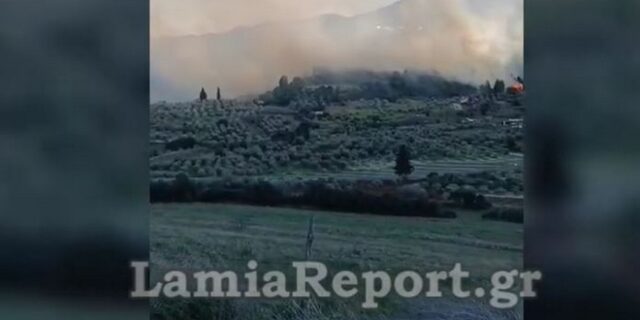 Φθιώτιδα: Μεγάλη φωτιά στον οικισμό Καραβίδια