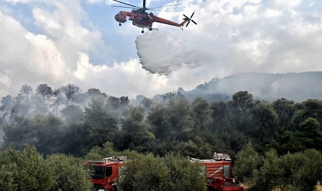 Σε ύφεση η φωτιά στη Φθιώτιδα – Νέα φωτιά στο Δερβένι Κορινθίας