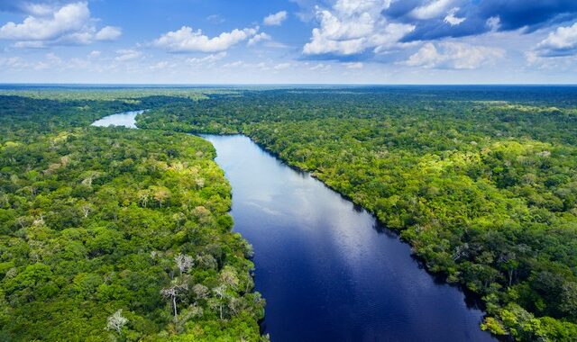 Νέο εργαλείο τεχνητής νοημοσύνης ρίχνεται στη μάχη διάσωσης του Αμαζονίου