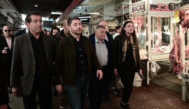 Ανδρουλάκης: Ο Μητσοτάκης επέτρεπε στα καταδικασμένα μέλη της Χρυσής Αυγής να κάνουν προεκλογική εκστρατεία