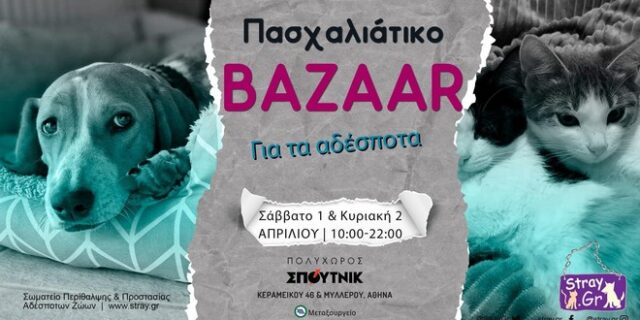 Πάσχα και Παγκόσμια Ημέρα Αδέσποτων Ζώων: Ευκαιρία για στήριξη στο stray.gr