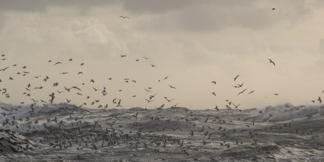 Το νησί όπου παιδιά εξαφανίζονται μυστηριωδώς