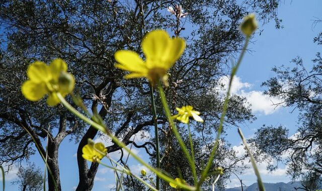 Πρωτομαγιά: Ο καιρός το εορταστικό τριήμερο