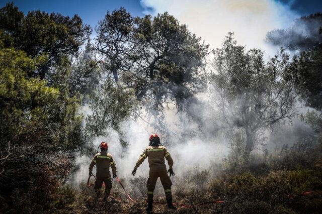 Άγιοι Θεόδωροι: Φωτιά σε δάσος στο Μαυροβούνι