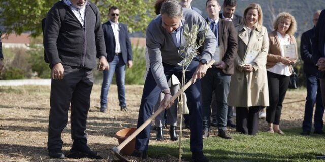 Ο Μητσοτάκης φύτεψε συμβολικά μία ελιά στον ελαιώνα Άμφισσας