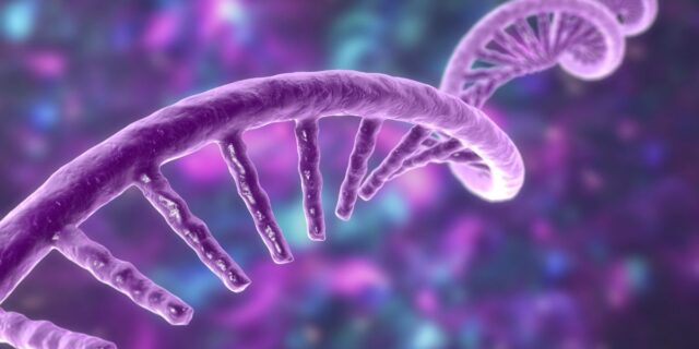 Από πειράματα σε μπιζέλια & πετούνιες, στις mRNA θεραπείες