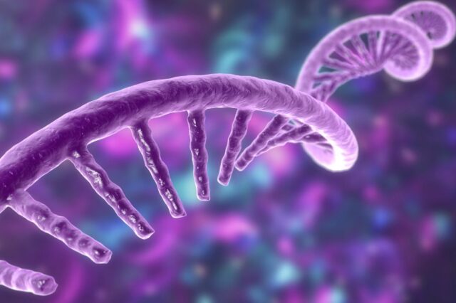 Από πειράματα σε μπιζέλια & πετούνιες, στις mRNA θεραπείες