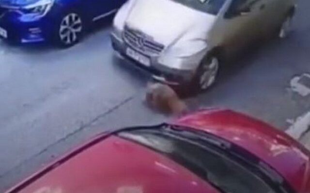 Εξοργιστικό βίντεο: Αυτοκίνητο χτυπάει εν ψυχρώ σκύλο